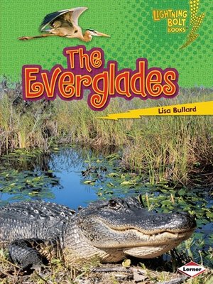 cover image of The Everglades